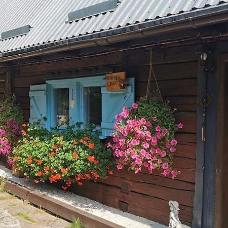 Wsiowa Chata Scinawka Gorna المظهر الخارجي الصورة